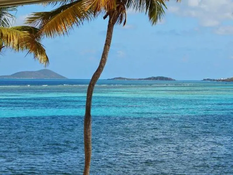 Colony Cove Beach Resort Christiansted United States Virgin Islands